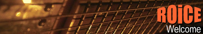 Header der Cover-Rockband Roice Header der Cover-Rockband Roice